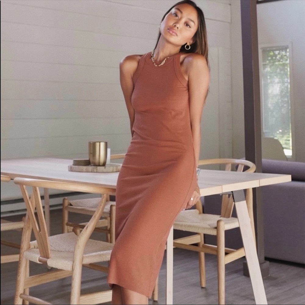 WSLY by Bandier Rivington Tank Dress in Rust